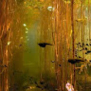 Meet your Posher, Jacquelin